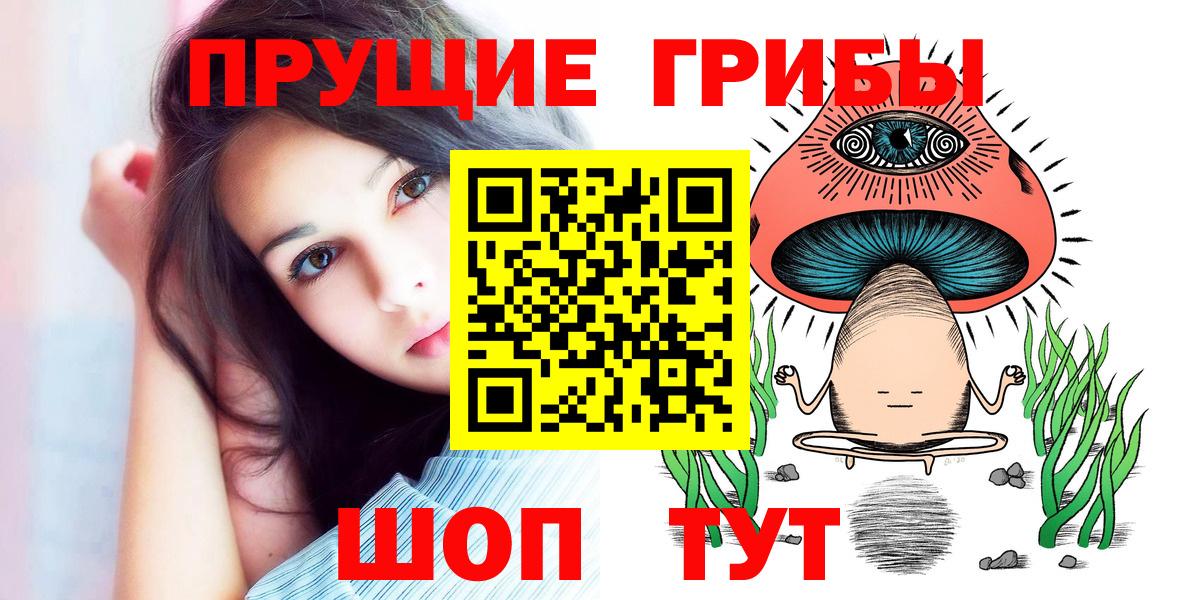 Псилоцибиновые грибы Psilocybe Лобня