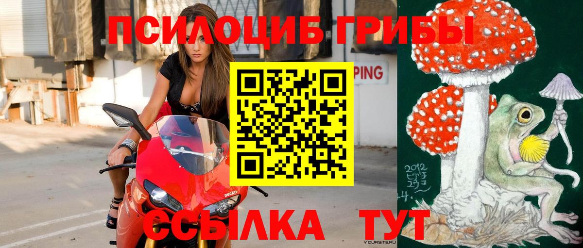Псилоцибиновые грибы Psilocybe  Вход с VPN  Псилоцибиновые грибы MAGIC MUSHROOMS  Лобня 